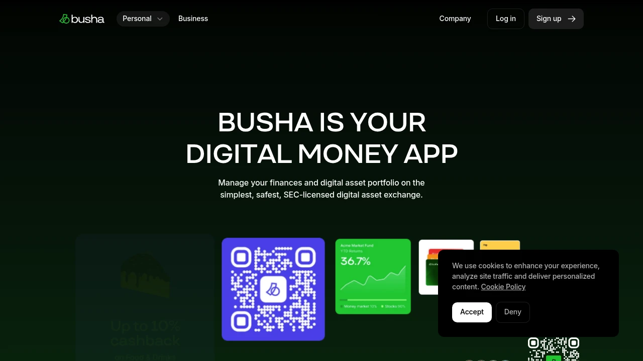 Screenshot of Busha website